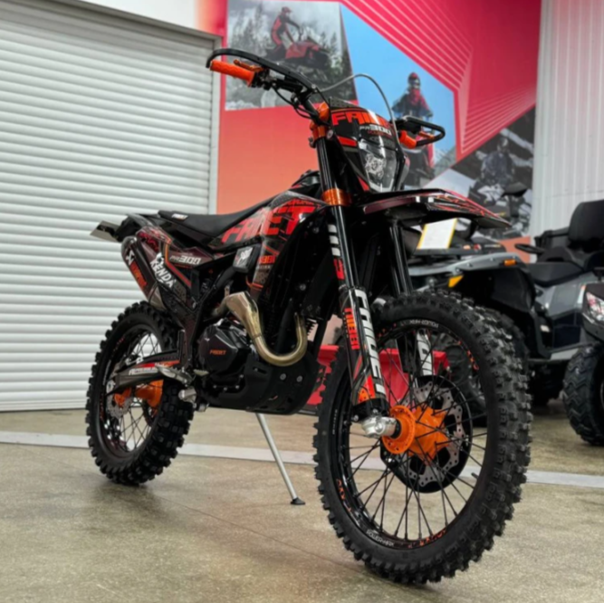 Кроссовый мотоцикл FAIDET PR300 MAX WP в Рязани