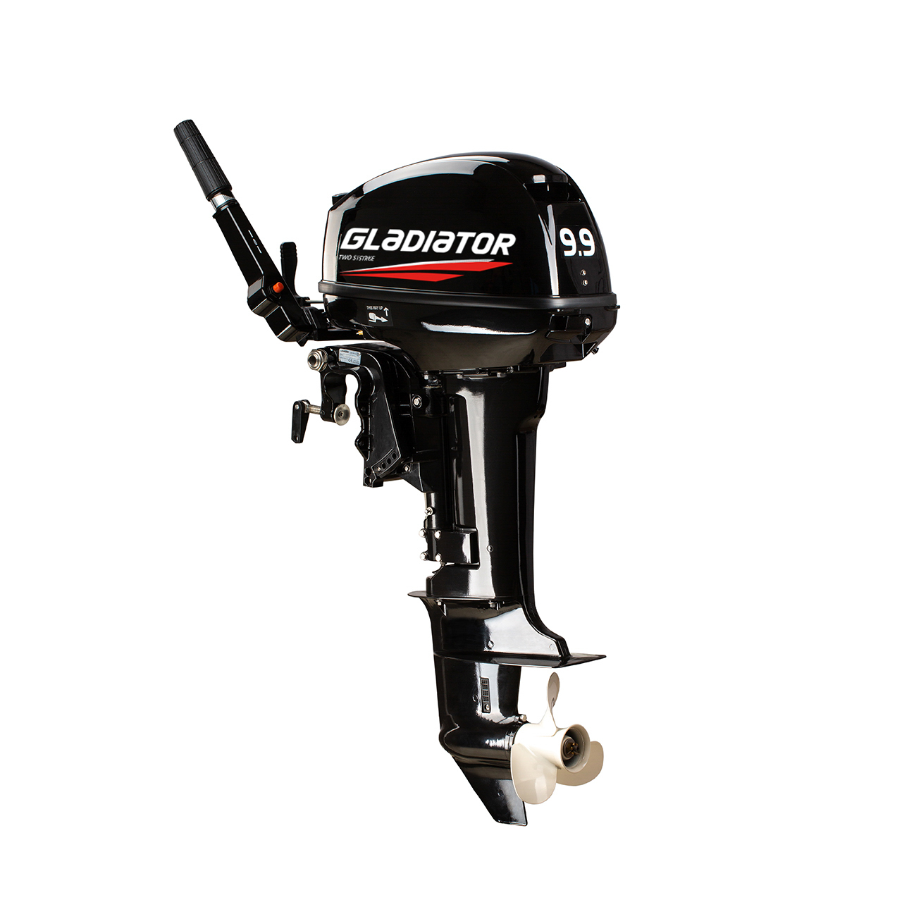 ЛОДОЧНЫЙ МОТОР GLADIATOR G9.9FHS в Рязани