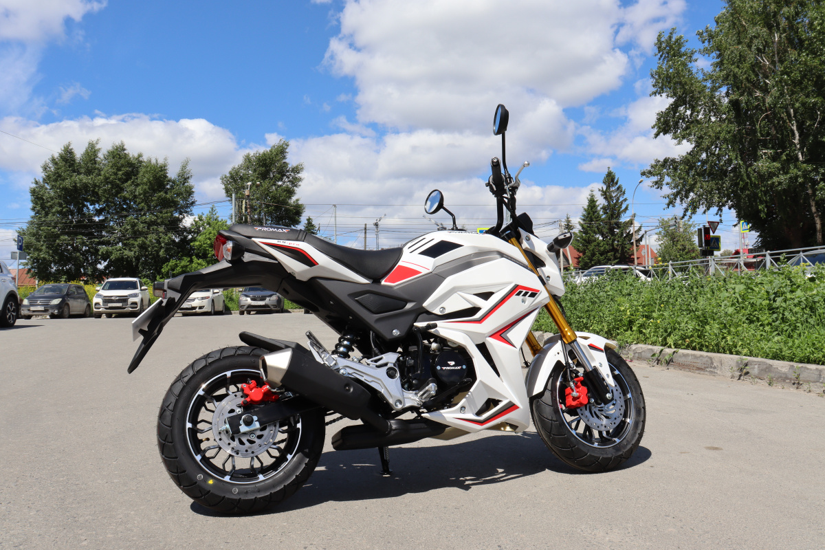 Мотоцикл PROMAX STRYKER 200(49) 2.0 в Рязани