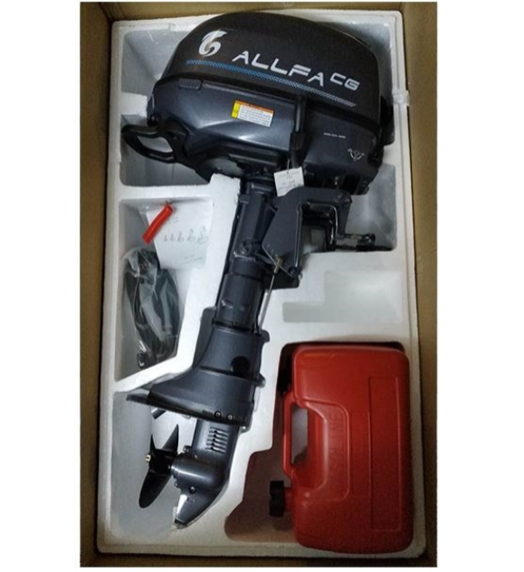 Лодочный мотор ALLFA CG F6 в Рязани