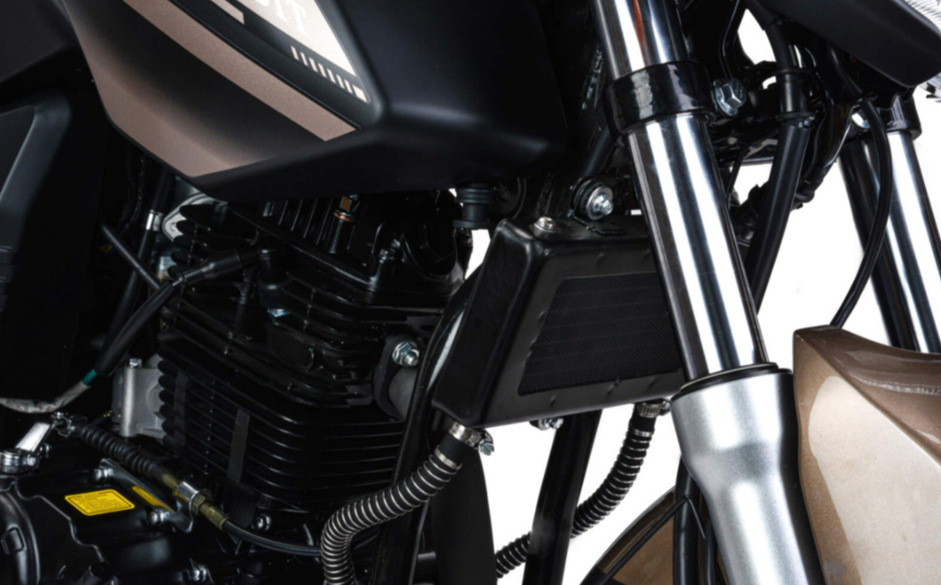 Мотоцикл MOTOLAND (МОТОЛЕНД) 300 BANDIT в Рязани