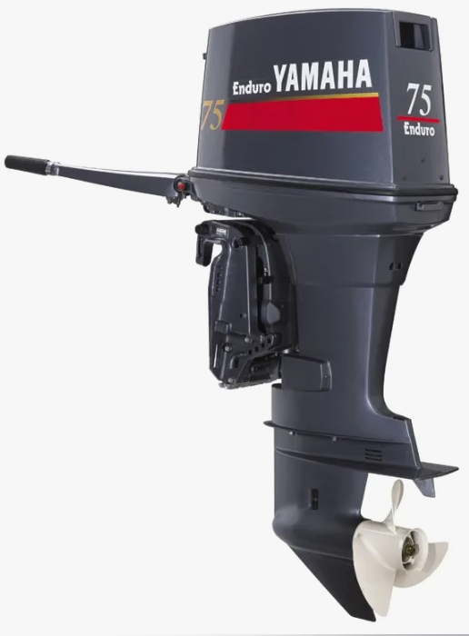 Лодочный мотор YAMAHA E75BMHDL в Рязани
