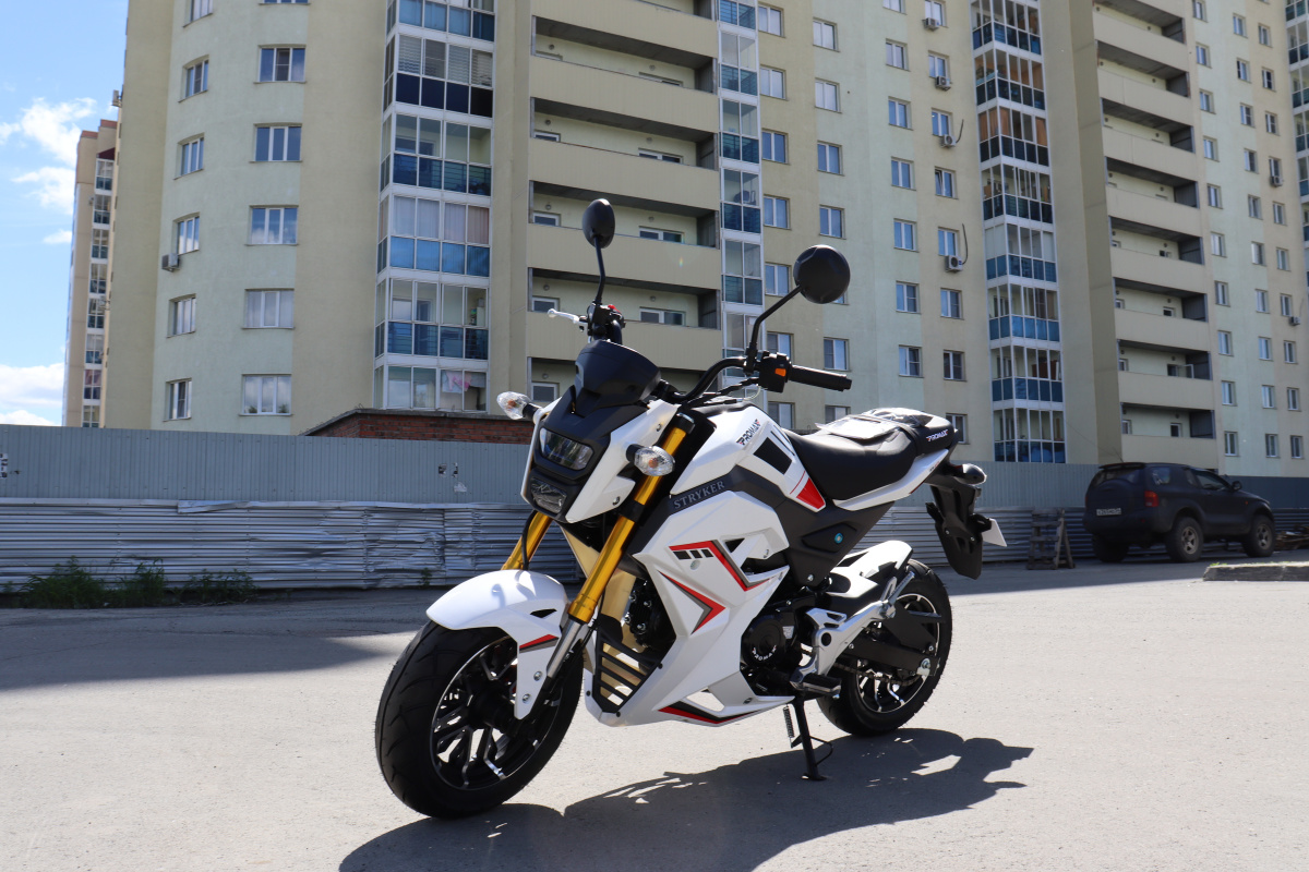 Мотоцикл PROMAX STRYKER 200(49) 2.0 в Рязани
