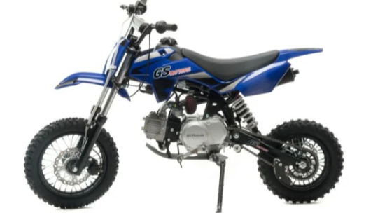 Питбайк MOTOLAND (МОТОЛЕНД) GS Motors S11 в Рязани