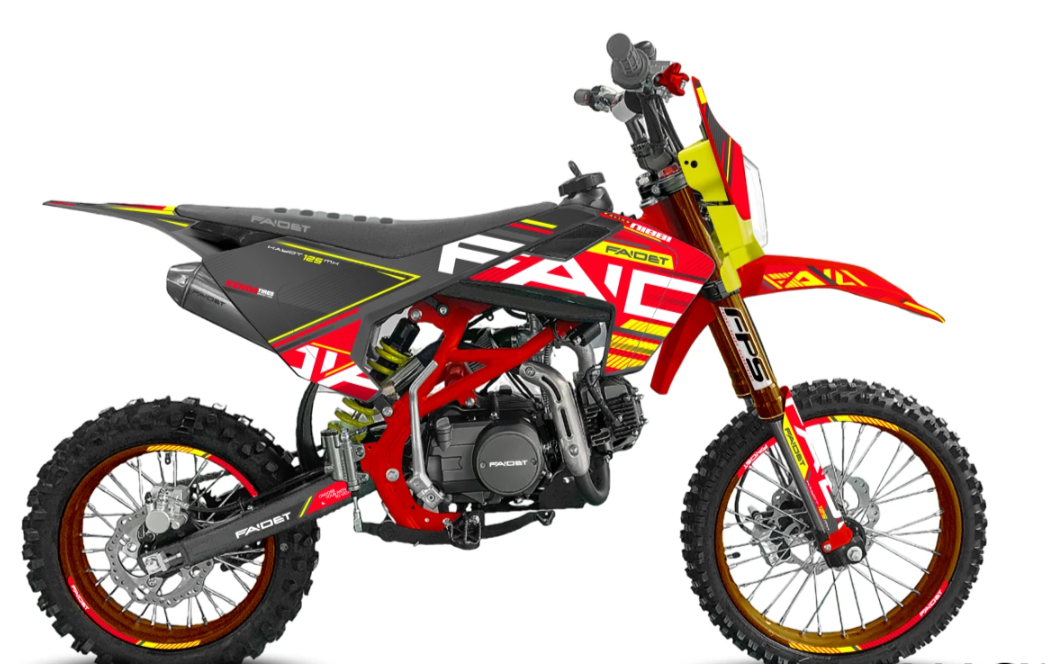Питбайк FAIDET KAYOT 150E-PRO 19/16 в Рязани