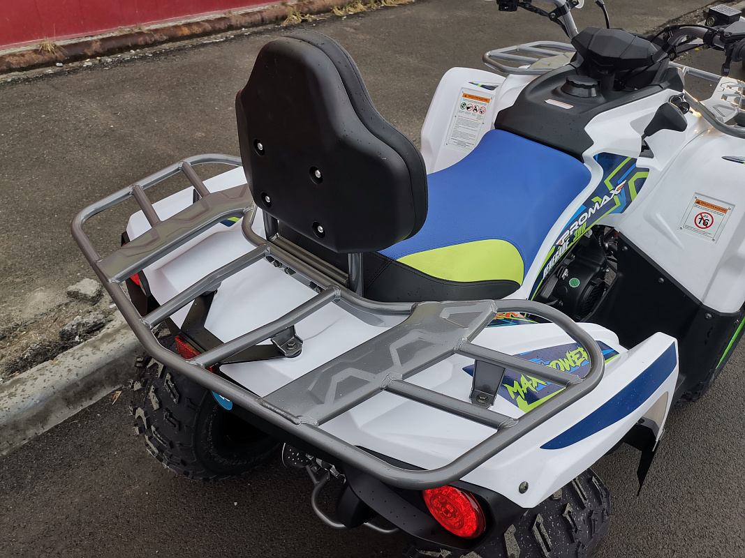 Квадроцикл PROMAX RENEGADE 280 LUX (2025) в Рязани