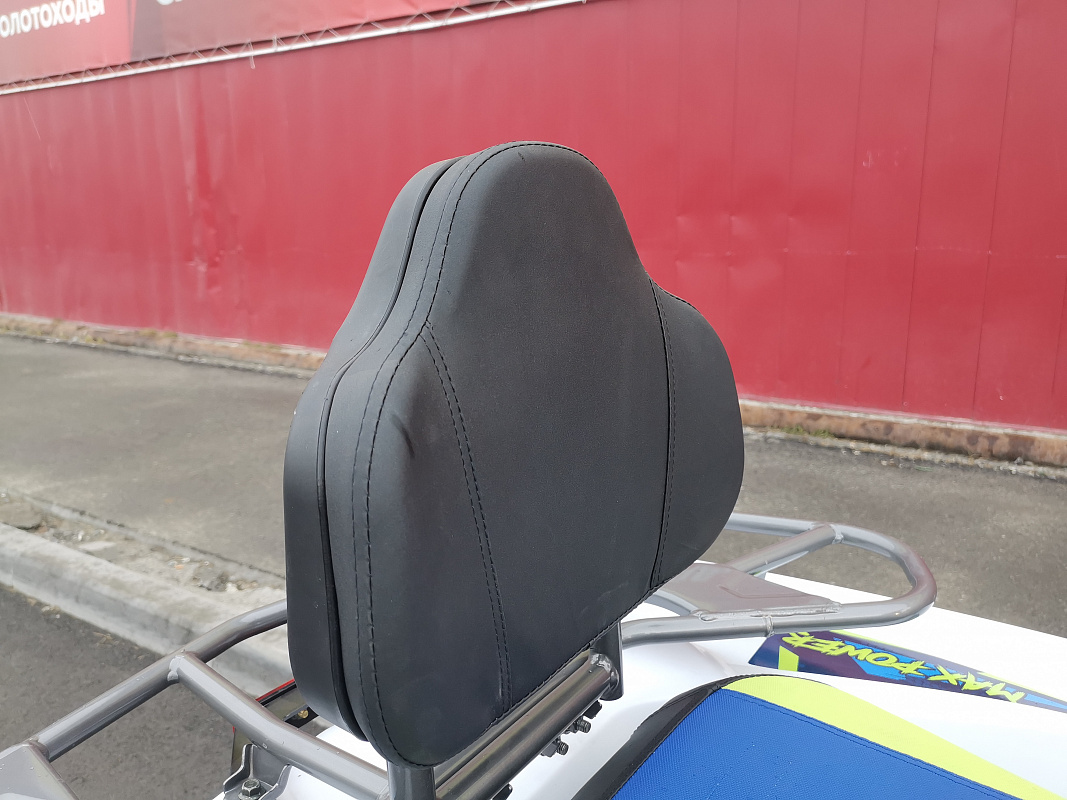 Квадроцикл PROMAX RENEGADE 280 LUX (2025) в Рязани