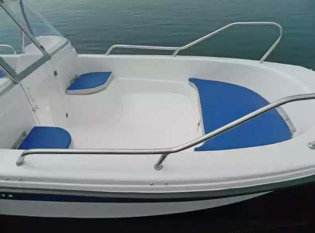 Стеклопластиковый катер Wyatboat-430 DCM (тримаран) в Рязани