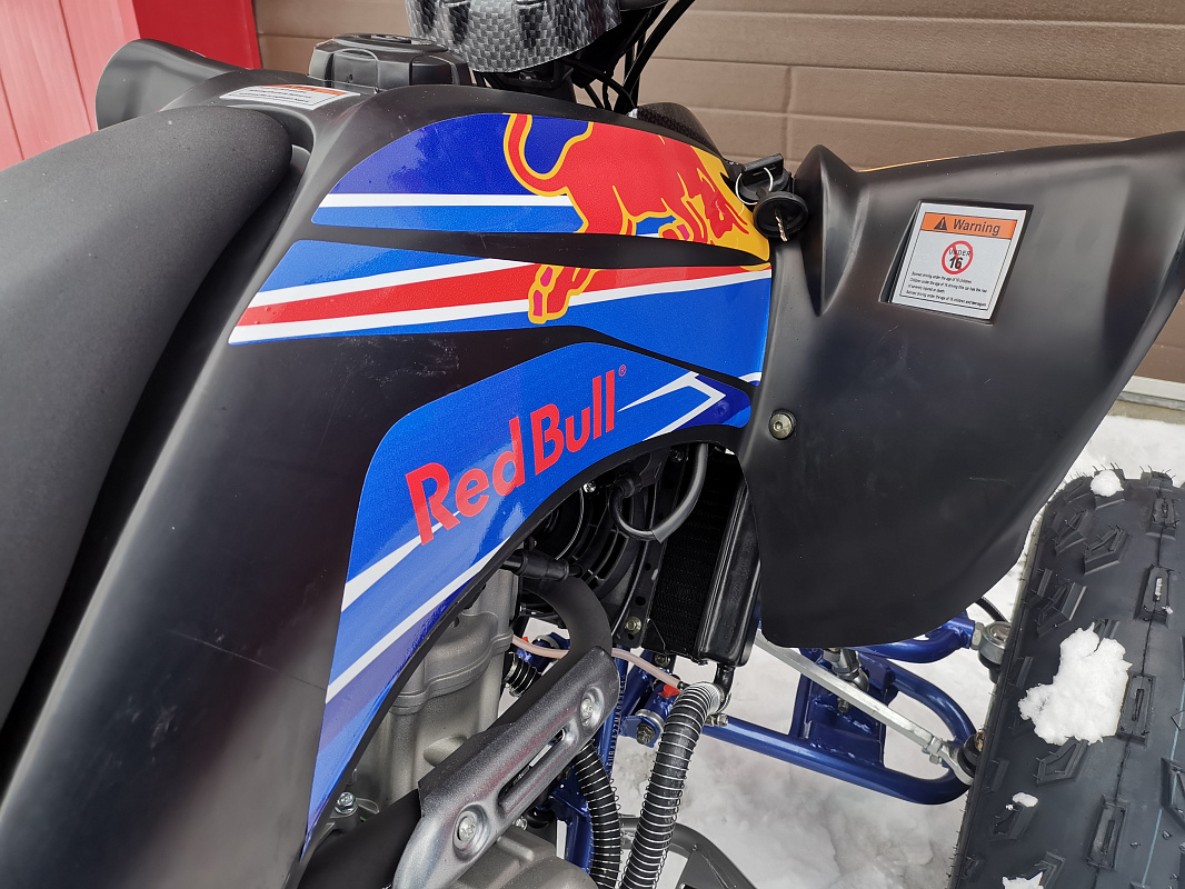 Квадроцикл PROMAX RAPTOR 300 NEW RedBull в Рязани