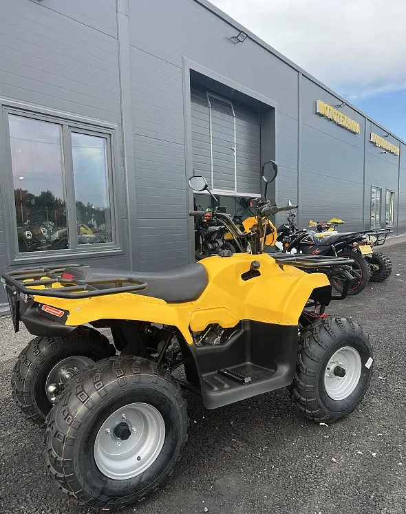КВАДРОЦИКЛ IRBIS ATV 250  в Рязани