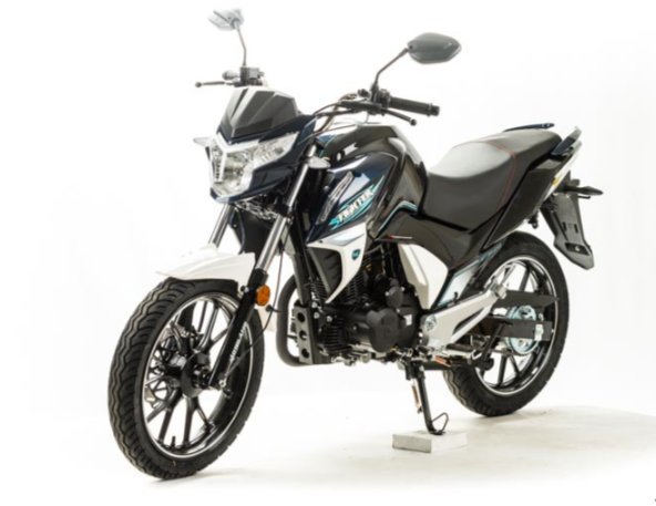 Мотоцикл MOTOLAND (МОТОЛЕНД) FIGHTER 250 в Рязани