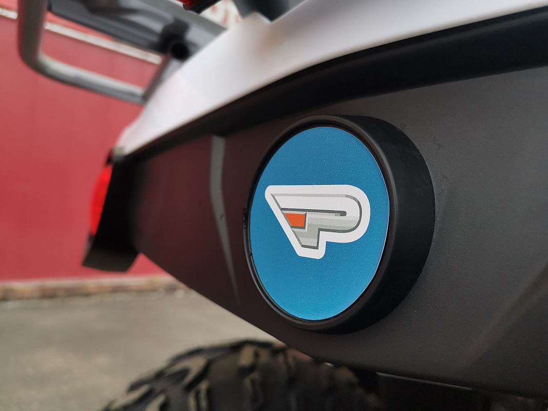 Квадроцикл PROMAX RENEGADE 280 LUX (2025) в Рязани
