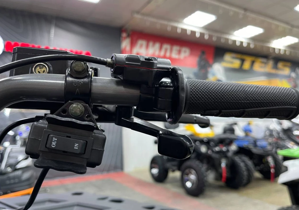 Квадроцикл PROMAX RENEGADE 300 LONG WINCH PRO (2025) в Рязани