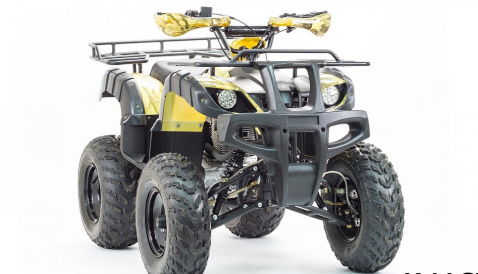 Квадроцикл MOTOLAND (МОТОЛЕНД) 250 ADVENTURE в Рязани