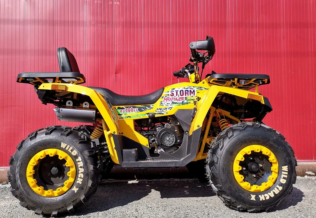 Квадроцикл PROMAX STORM 280 LUX в Рязани