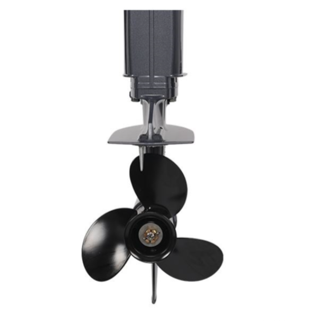 Лодочный мотор ALLFA CG Т40FW S в Рязани