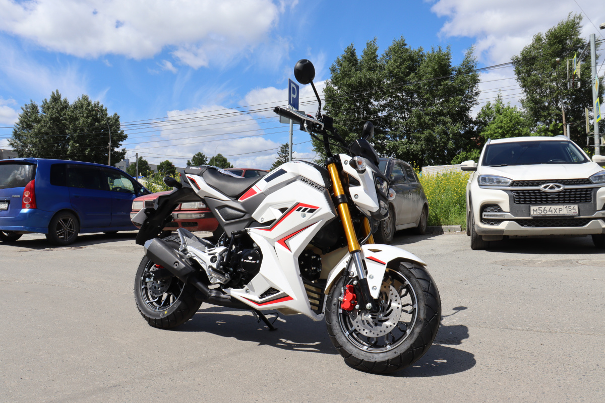 Мотоцикл PROMAX STRYKER 200(49) 2.0 в Рязани