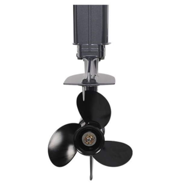 Лодочный мотор ALLFA CG Т40FWT S в Рязани