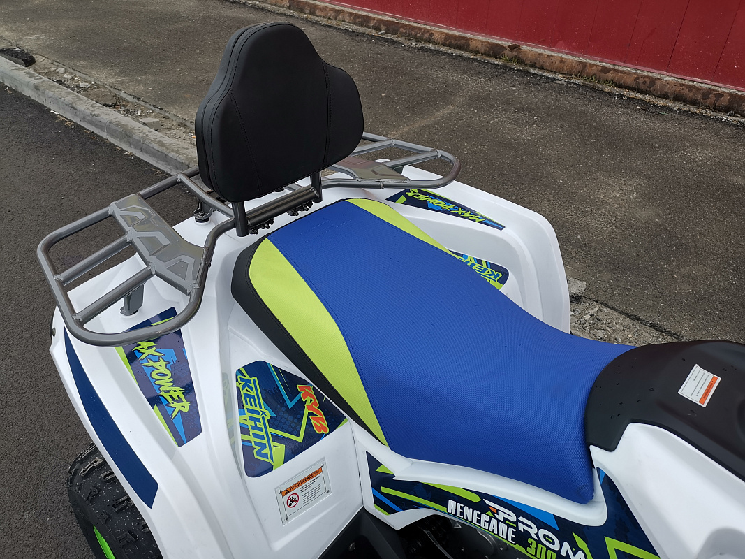 Квадроцикл PROMAX RENEGADE 280 LUX (2025) в Рязани