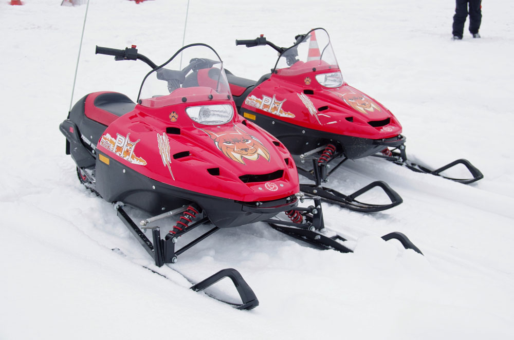 Снегоход РМ ТАЙГА РЫСЬ в Рязани