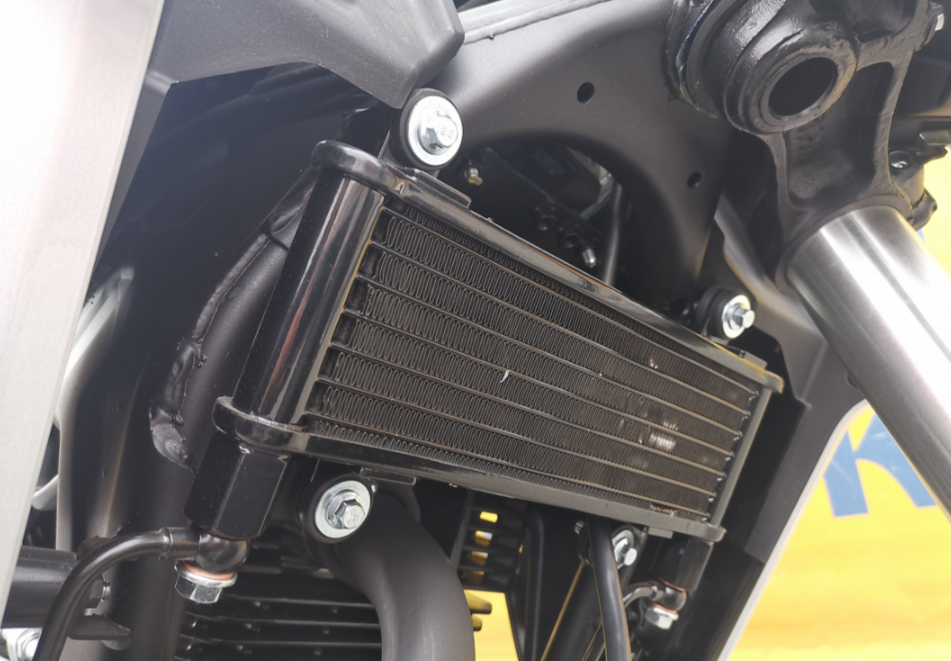 Мотоцикл MOTOLAND (МОТОЛЕНД) 250 CB250 (172FMM-5/PR250) (2022 г.) в Рязани