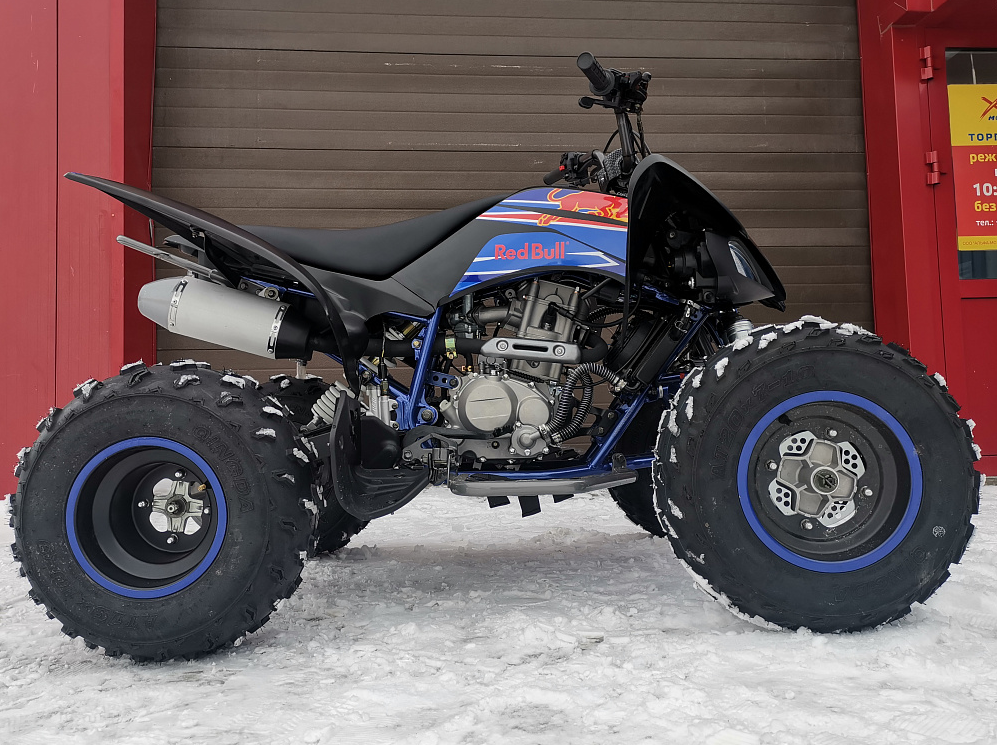 Квадроцикл PROMAX RAPTOR 300 NEW RedBull в Рязани