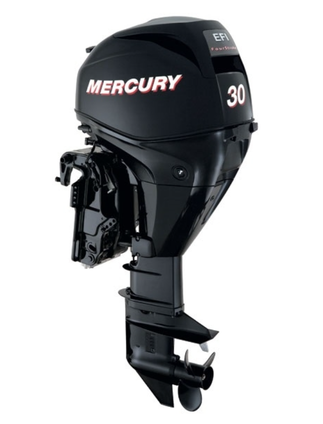 ЛОДОЧНЫЙ МОТОР MERCURY  F 30 ELH GA EFI в Рязани