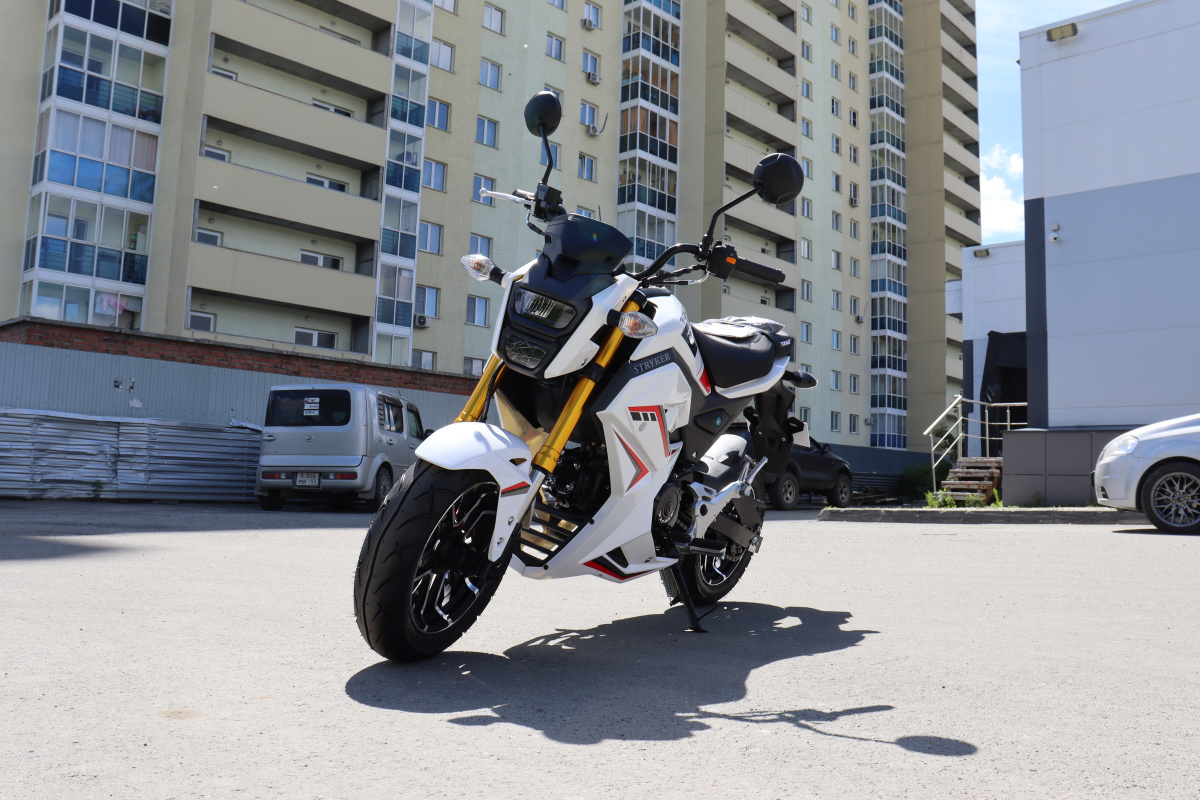 Мотоцикл PROMAX STRYKER 200(49) 2.0 в Рязани