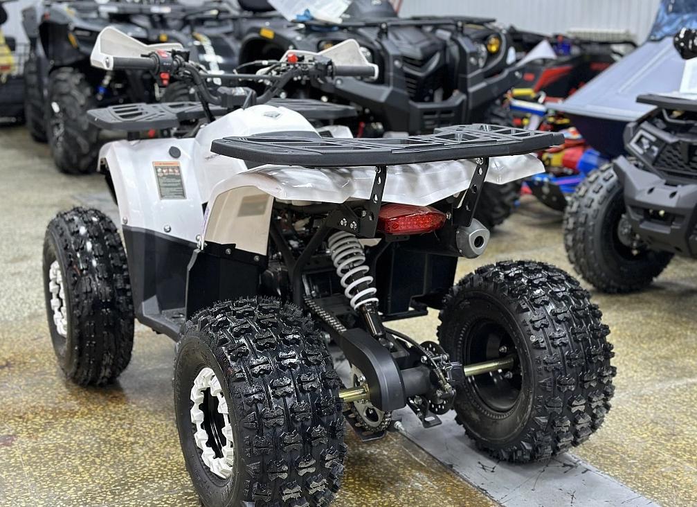 Квадроцикл PROMAX WILD 2.0 190 в Рязани