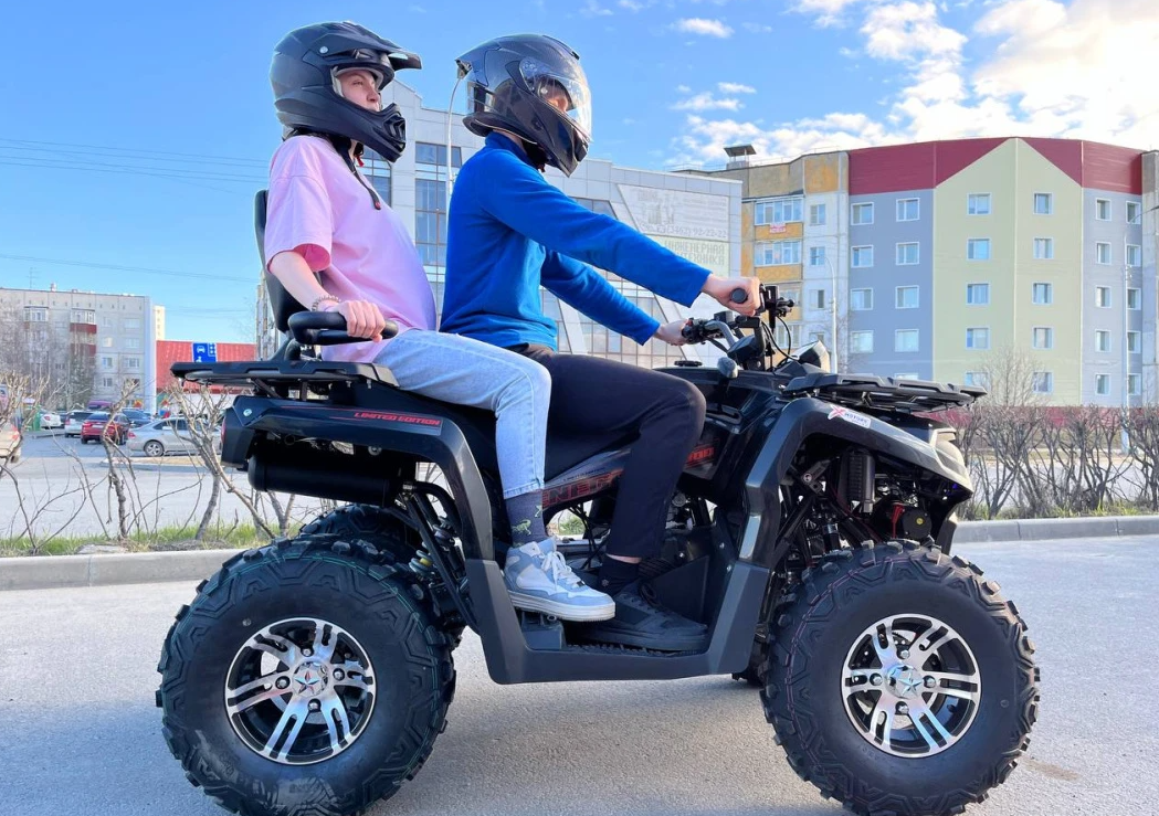 Квадроцикл PROMAX RENEGADE 300 LONG WINCH PRO (2025) в Рязани