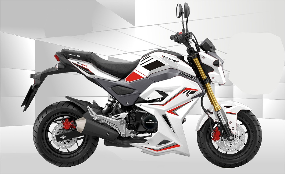 Мотоцикл PROMAX STRYKER 200(49) 2.0 в Рязани