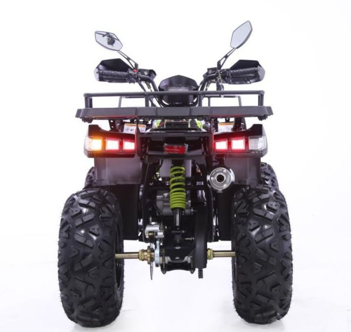 Квадроцикл YACOTA WARRIOR 200 PRO в Рязани