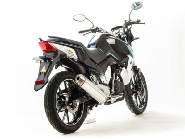 Мотоцикл MOTOLAND (МОТОЛЕНД) FIGHTER 250 в Рязани