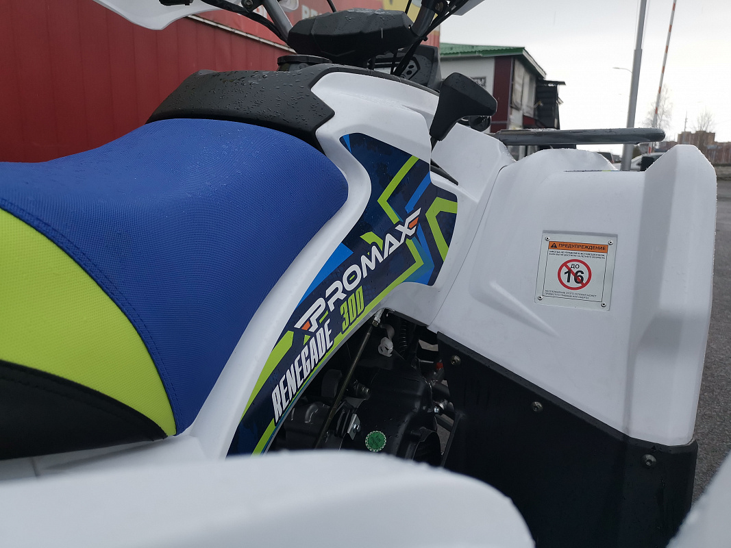 Квадроцикл PROMAX RENEGADE 280 LUX (2025) в Рязани