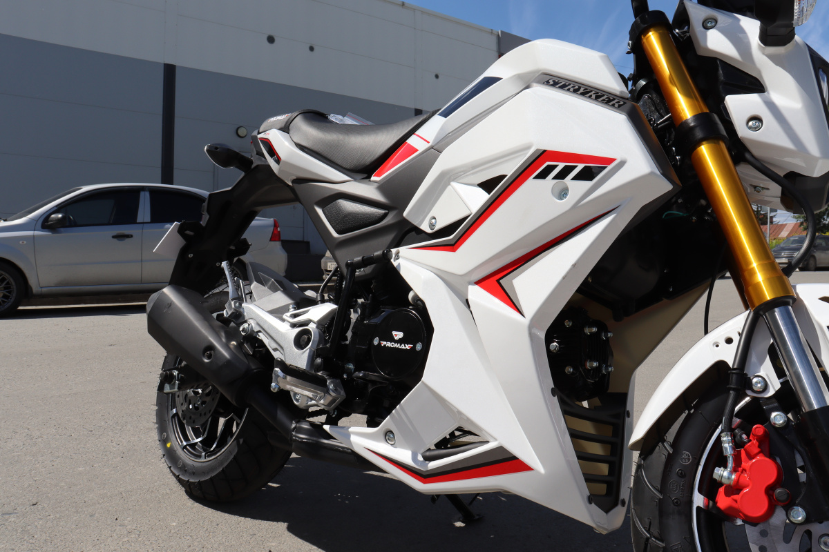 Мотоцикл PROMAX STRYKER 200(49) 2.0 в Рязани