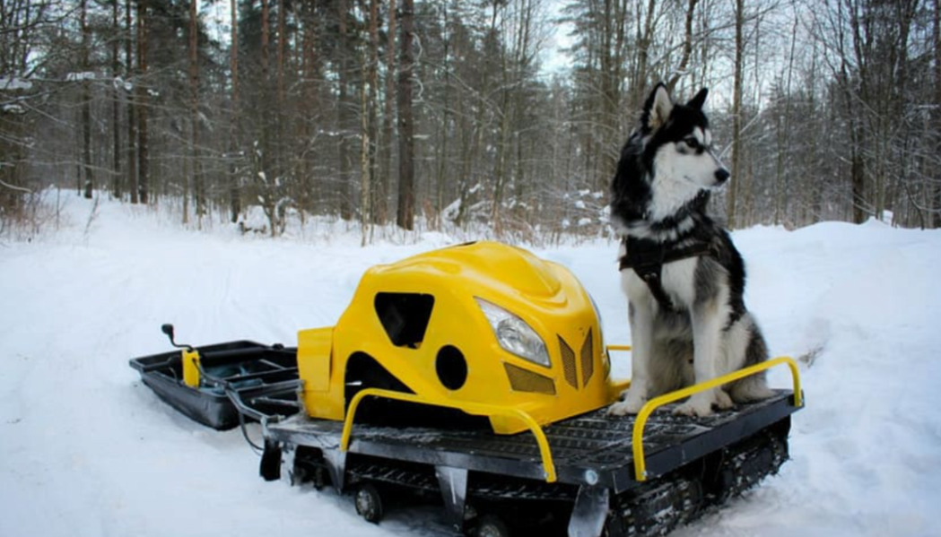 Мотобуксировщик LEBEDEV MOTORS ВОЛКОДАВ POWER V13 в Рязани