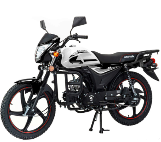 Мопед MOTOLAND (МОТОЛЕНД) Альфа RS 11 (LM48-B) в Рязани