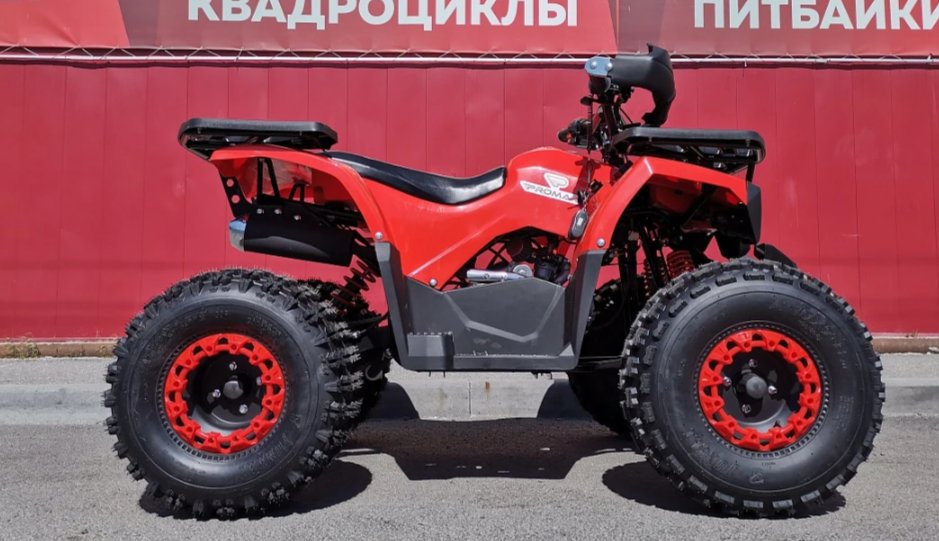 Квадроцикл PROMAX WILD 175 BASIC в Рязани