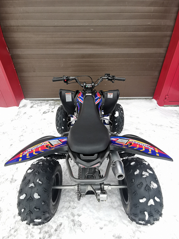 Квадроцикл PROMAX RAPTOR 300 NEW RedBull в Рязани