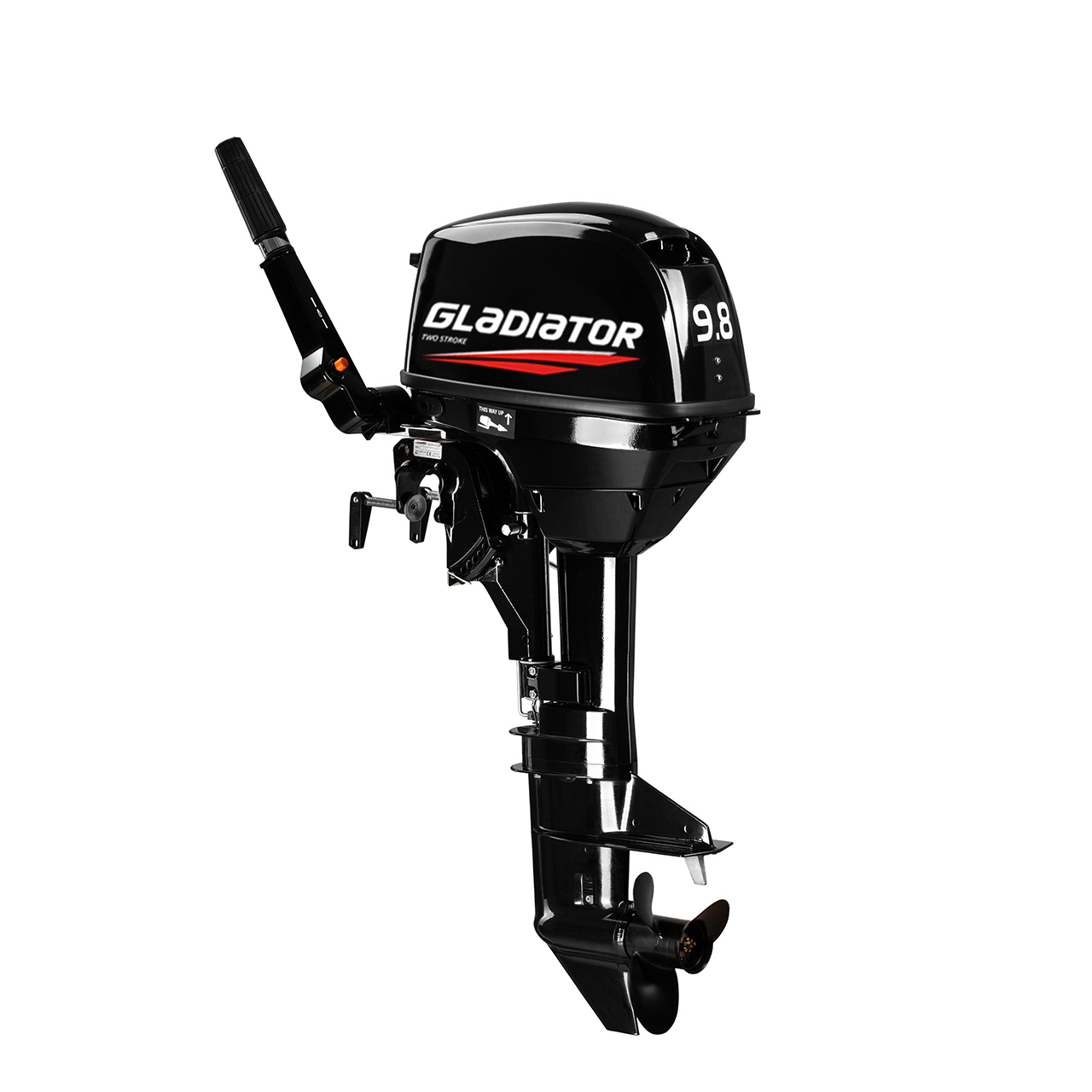 ЛОДОЧНЫЙ МОТОР GLADIATOR G9.8FHS в Рязани