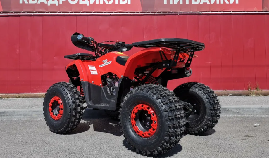 Квадроцикл PROMAX WILD 175 BASIC в Рязани