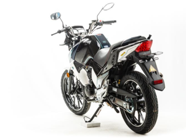 Мотоцикл MOTOLAND (МОТОЛЕНД) FIGHTER 250 в Рязани