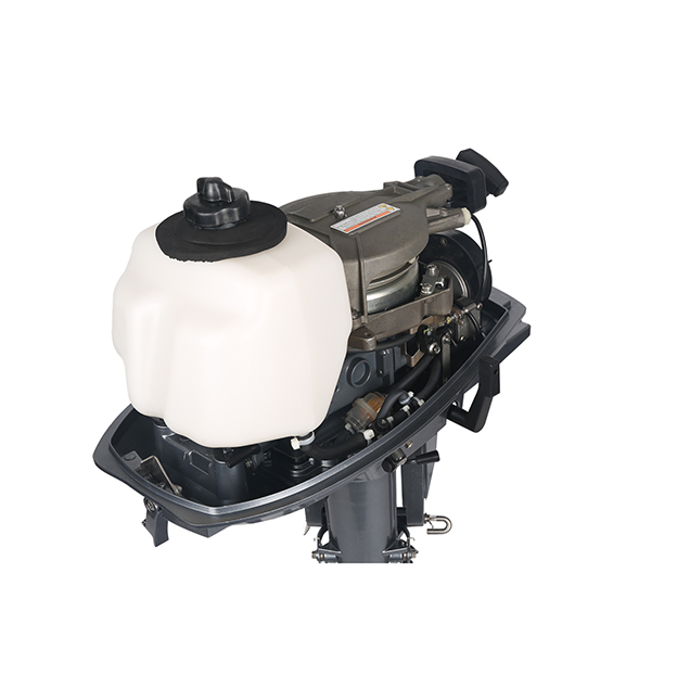 ЛОДОЧНЫЙ МОТОР ALLFA CG T5 в Рязани