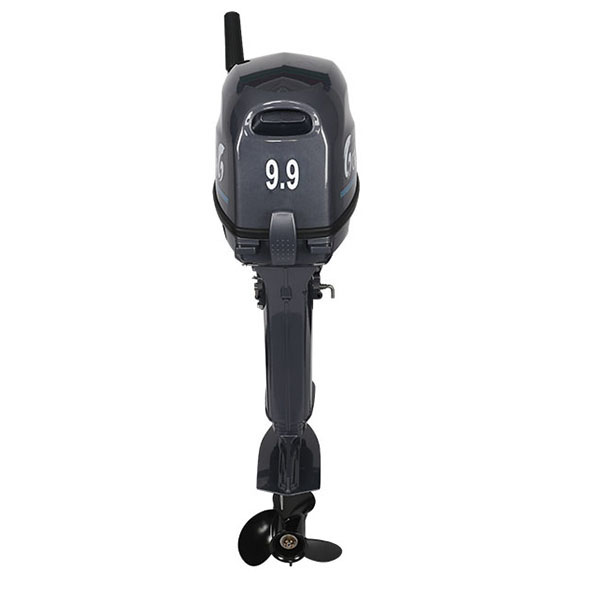 Лодочный мотор ALLFA CG Т9.9(20)MAX в Рязани