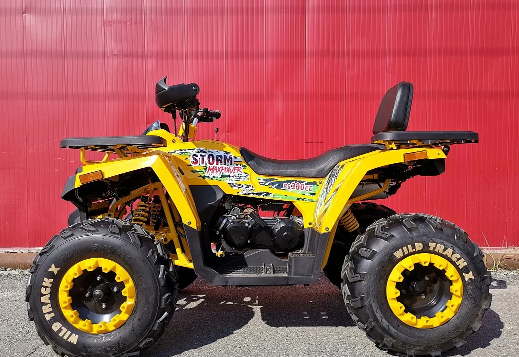 Квадроцикл PROMAX STORM 280 LUX в Рязани
