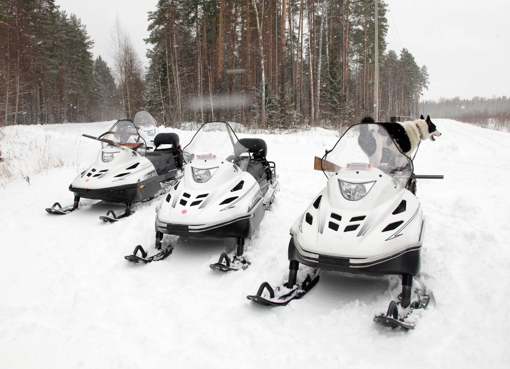 СНЕГОХОД РМ ТАЙГА ВАРЯГ 550 V в Рязани