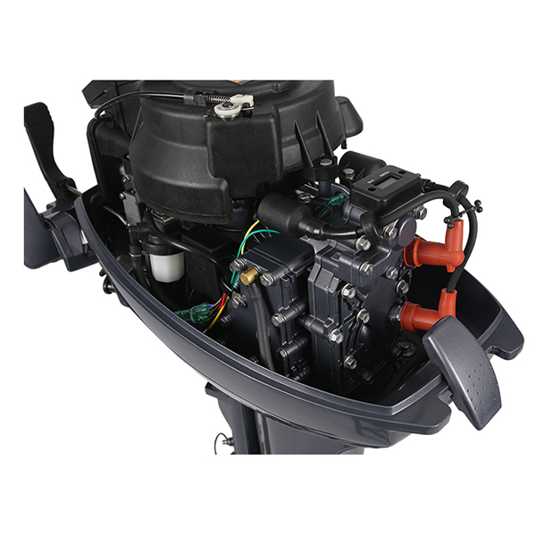 ЛОДОЧНЫЙ МОТОР ALLFA CG Т9,9 в Рязани