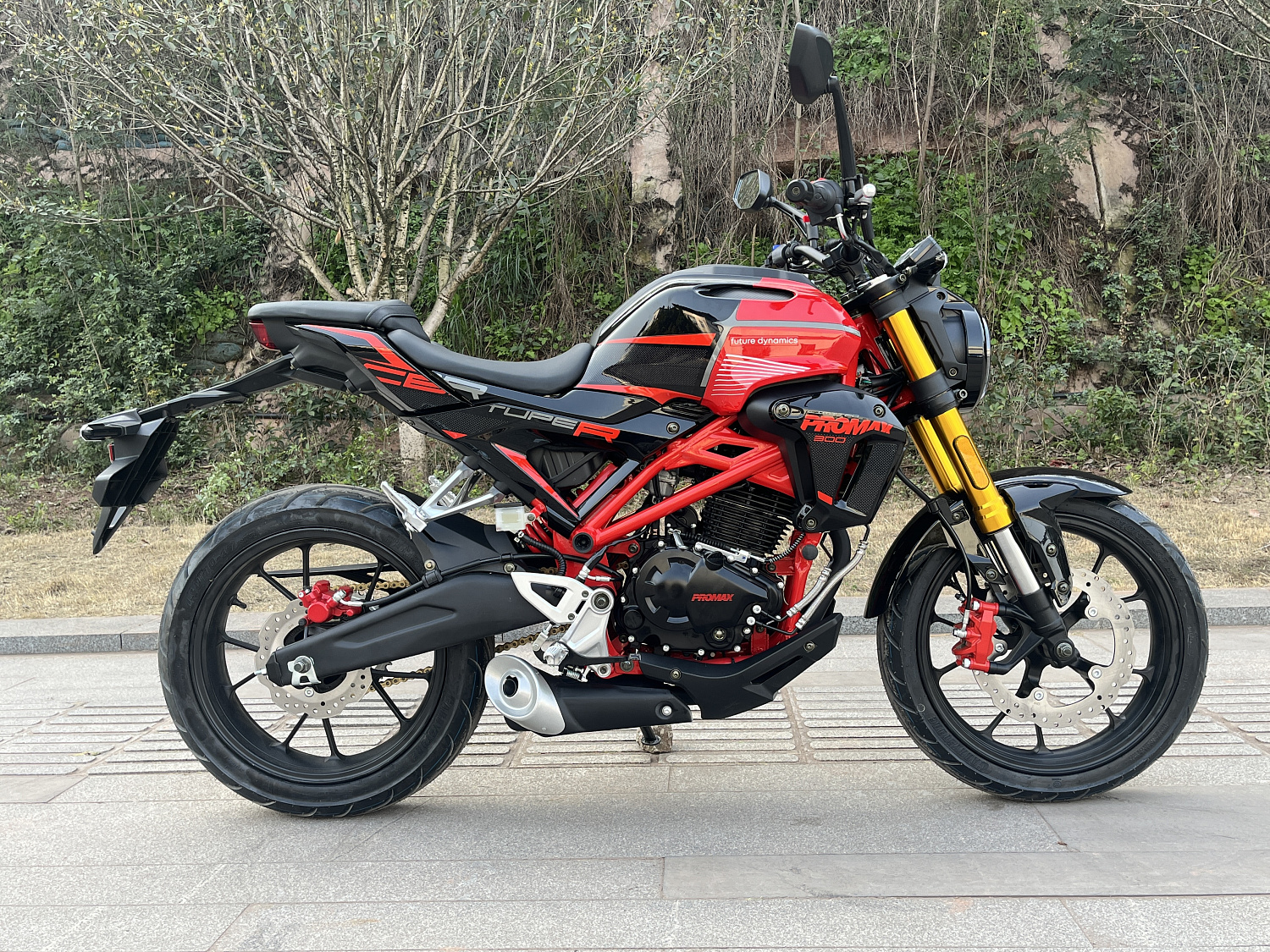 Мотоцикл PROMAX CB300 в Рязани