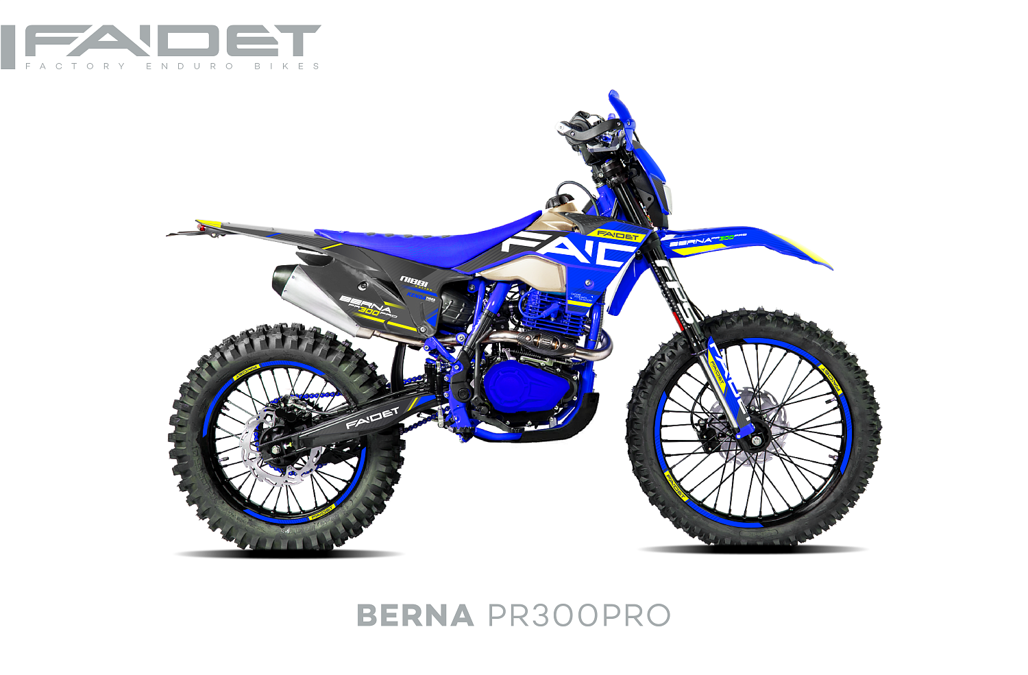 Кроссовый мотоцикл FAIDET BERNA PR300-PRO FPS в Рязани