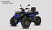 Квадроцикл PROMAX TAURUS 300 MAX-PRO LONG в Рязани